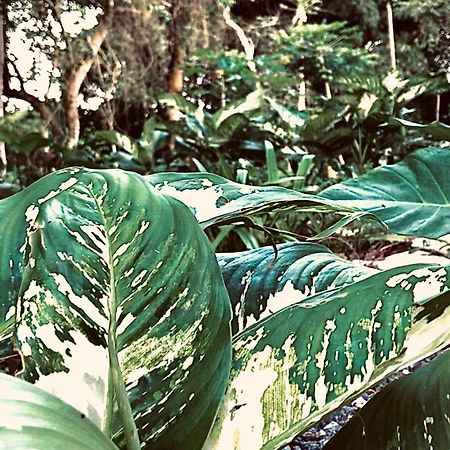 Nature'S Cradle Obosomase Exterior photo
